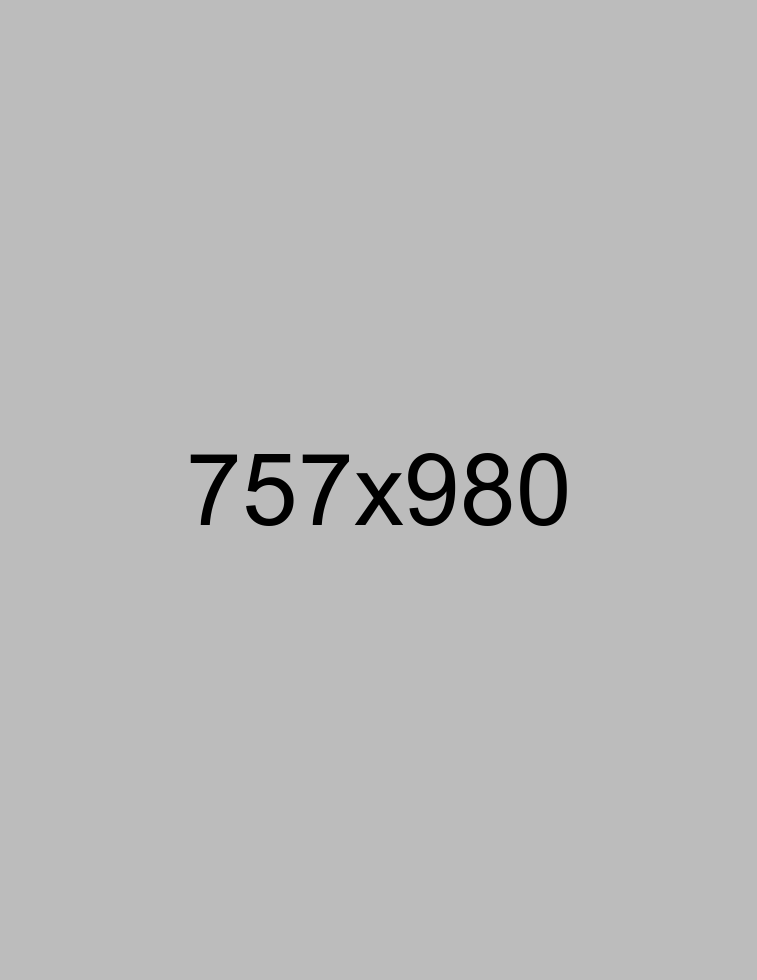 home_surveyor_pic1